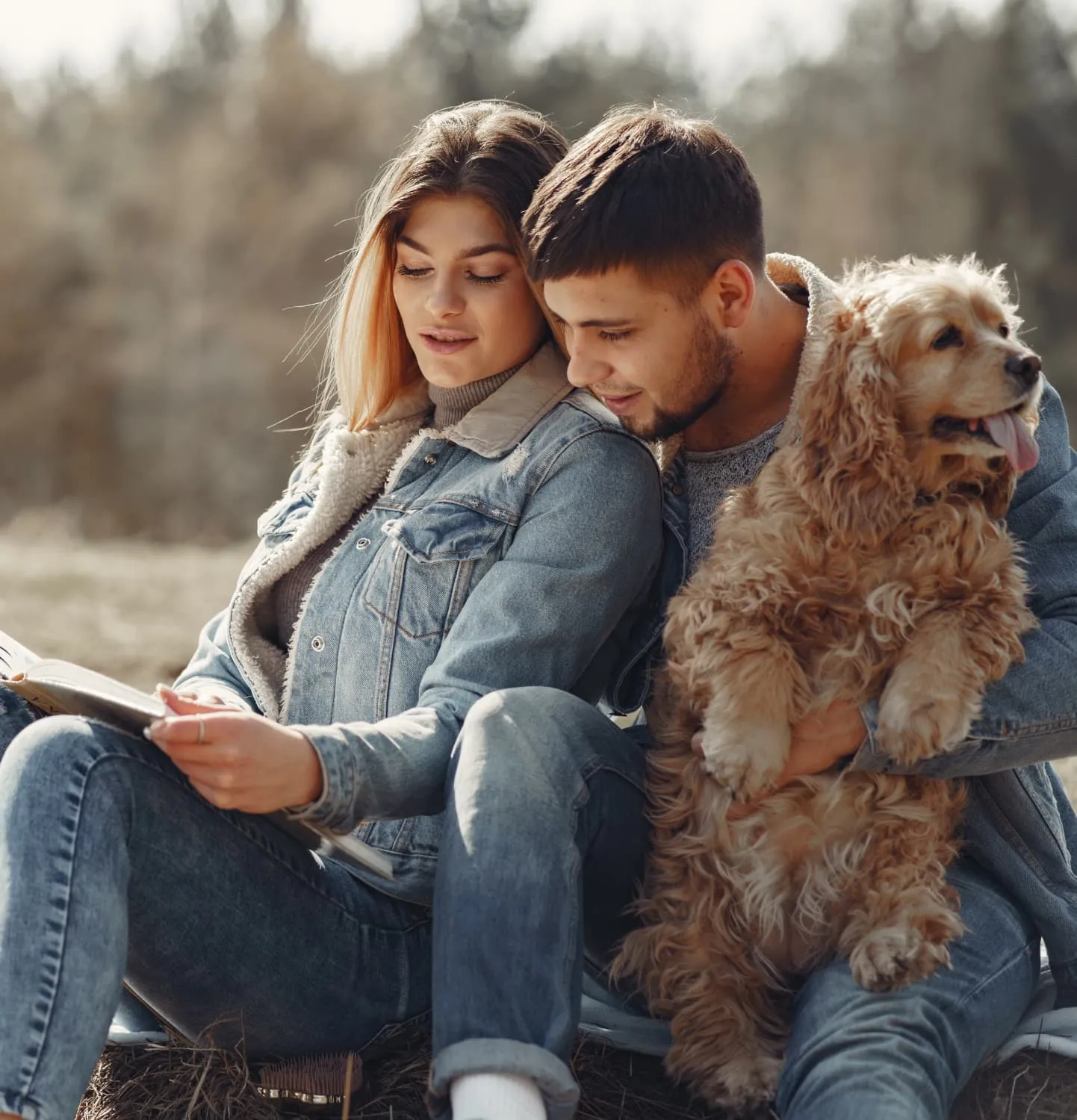 Pettable Scholarships for 2022 Apply Today